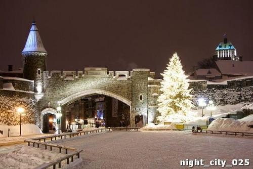 елка, площадь, мостик, стена, зима