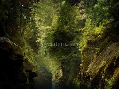 лес, джунгли, природа, скалы, горы, река