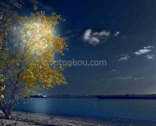 природа, река, луна, дерево, осень, ночь