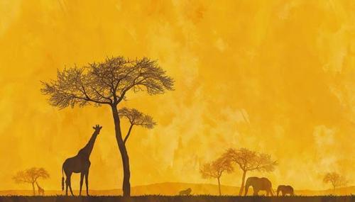 жираф, дерево, желтый, оранжевый