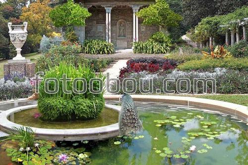 фонтан, парк, домик, цветы, павлин