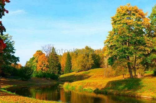 природа, осень, парк, деревья, река