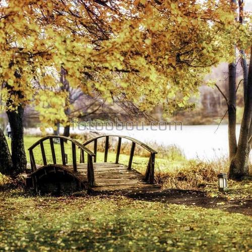 природа, осень, мост, парк, листья, деревья