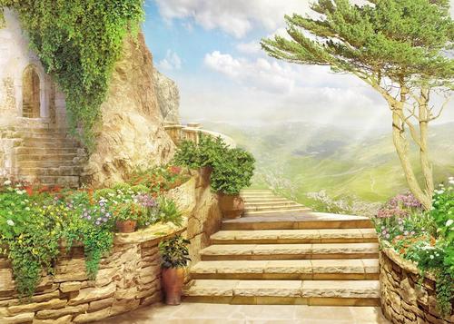 сад, дворик, природа, цветы, небо, облака