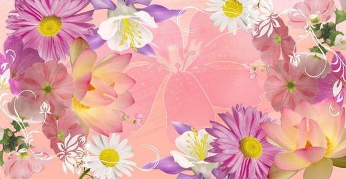 цветы, природа