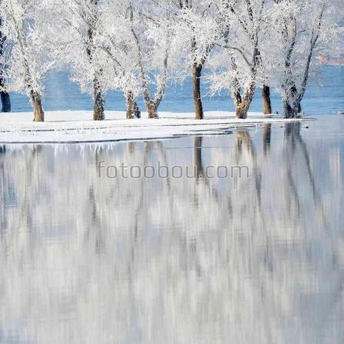 природа, зима, деревья, озеро