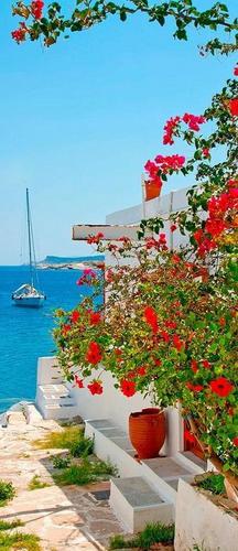 лестница, цветы, море, корабли, небо
