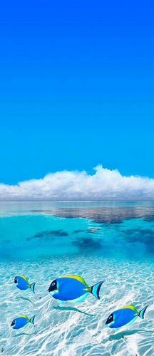 вода, голубое, небо, облака, рыбки