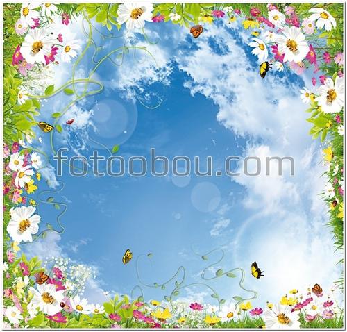 небо, облака, цветы, листья, бабочки