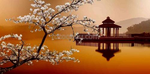 озеро, закат, япония, природа, сакура
