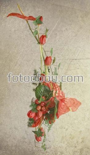 цветы, маки, букет