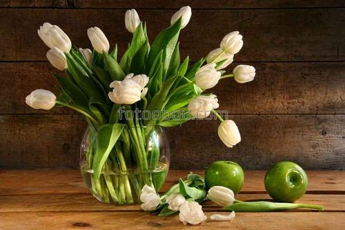 цветы, тюльпаны, природа, натюрморт, яблоки, ваза