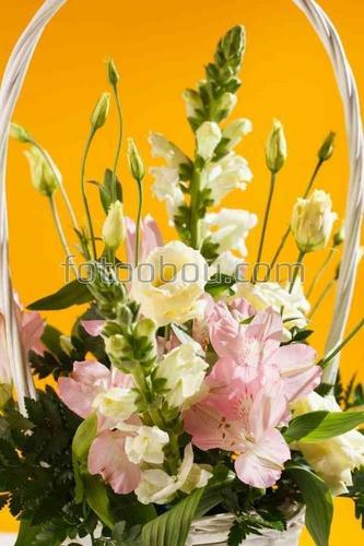 цветы, букет, орхидея, природа, корзина