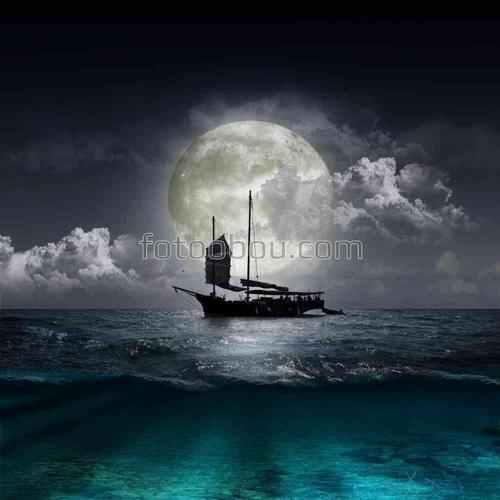 море, корабль, природа, луна, волна, природа, ночь