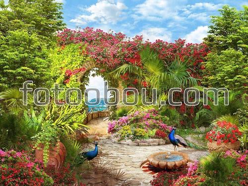 сад, природа, цветы, фонтан, павлин, павлины, птицы