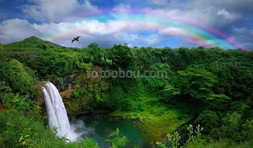 природа, джунгли, лес, радуга, водопад, небо, облака