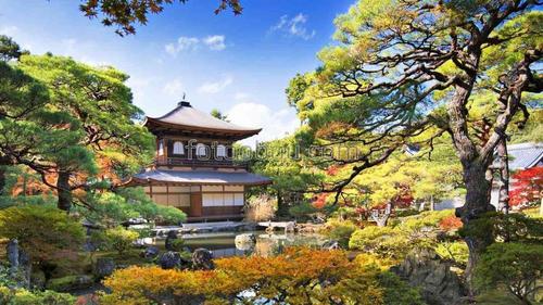 япония, сад, парк, природа