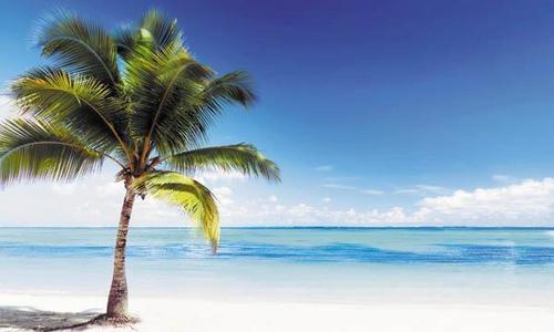 пальма, песок, океан, небо, облака, синий, голубой