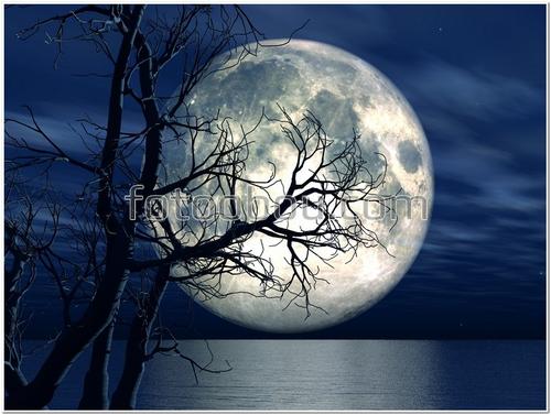 луна, небо, дерево, ночь, вода, 3Д