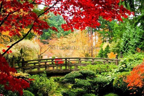 природа, сад, парк, осень, мост