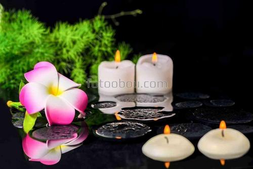 орхидеи, свечи, природа, цветы