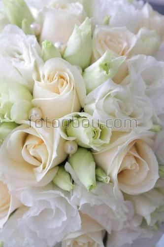 цветы, природа, букет, розы, свадьба