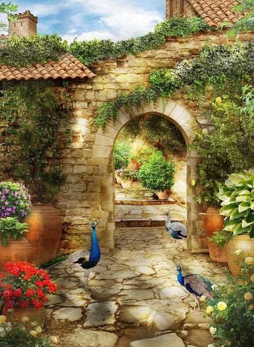 сад, парк, дворик, цветы, природа, птицы, арка