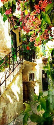 дом, лестница, дерево, цветы, красный, розовый