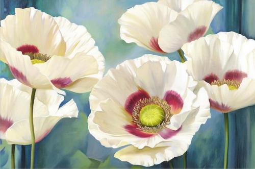 цветы, маки, живопись, картина