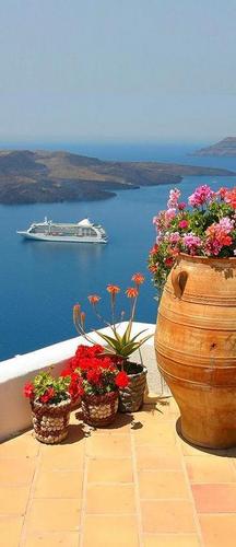 море, корабль, цветы, красные, розовые, небо