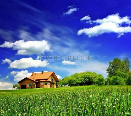 природа, поле, домик, трава, небо, облака