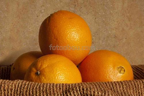 природа, фрукты, апельсины, натюрморт