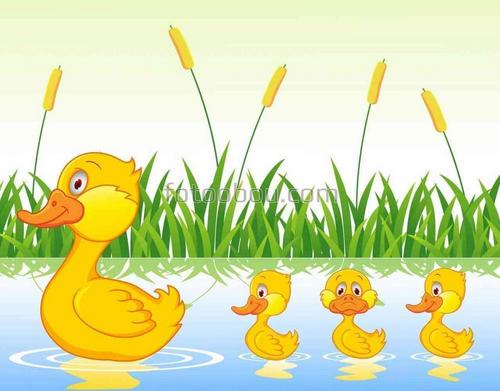 утка, для детей, для мальчика, для девочек, природа, животные, озеро