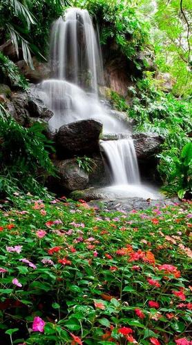 цветы, трава, зеленый, красный, камни, водопад