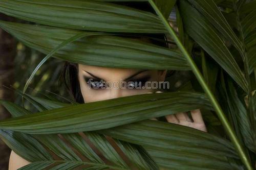 девушка, природа, люди, листья, ветки, папоротник