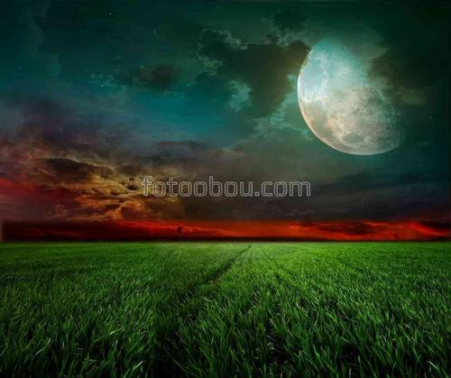 ночь, луна, поле, небо, облака