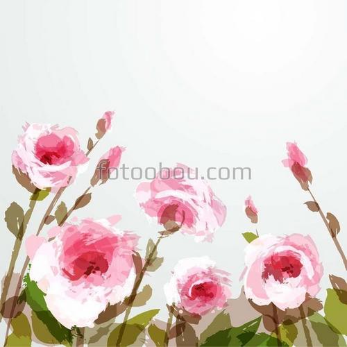 цветы, розы, розовый, зеленый