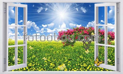 поле ,цветы ,солнце ,одуванчики ,дерево ,цветы ,окно ,облака ,небо 