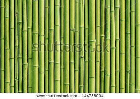 бамбук, зеленые , трость