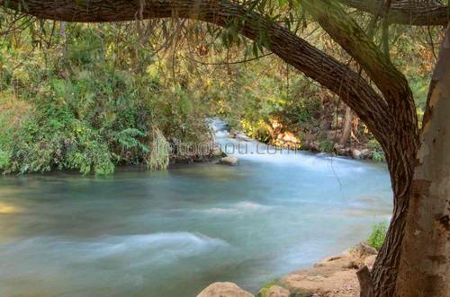 лес, река, природа, деревья