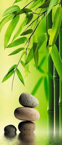 бамбук, зелень, листочки, камни