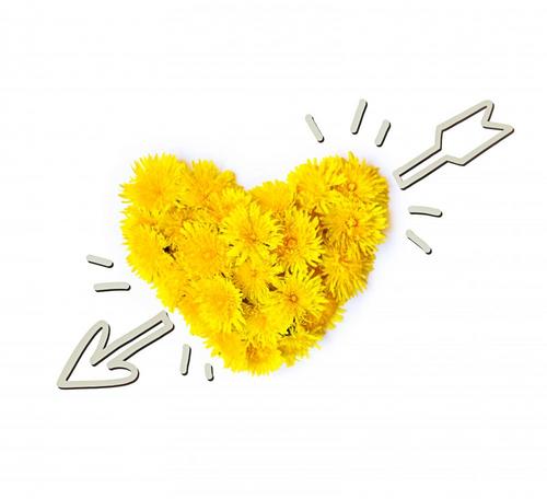 одуванчики, цветы, желтые, сердце, любовть светлые