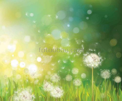 природа, одуванчики, поле, трава