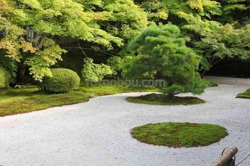 япония, сад камней, парк, природа