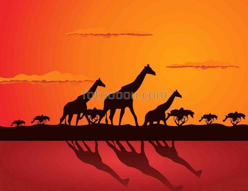 природа, жирафы, животные, закат, африка