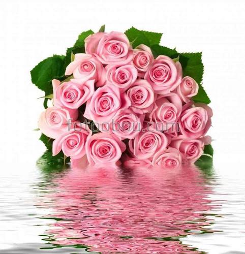 букет, розы, розовый