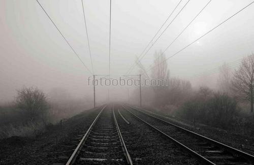 дорога, природа, туман, поезда, пруть