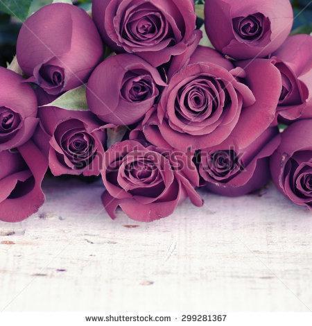 сиреневые розы,букет роз ,бутоны
