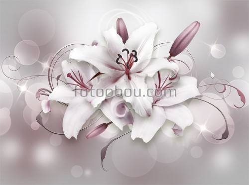 зд, обои, лилии, цветок, стена