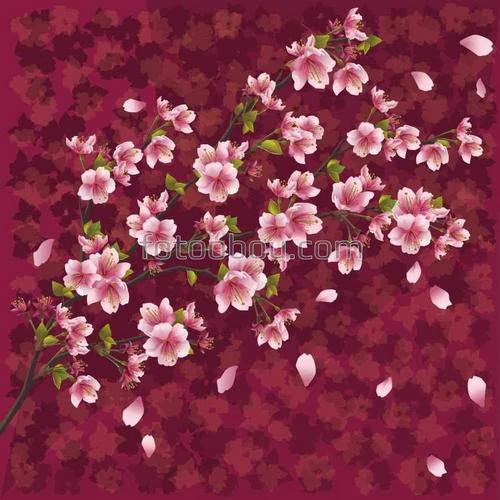 природа, фон, сакура, цветы, вишня